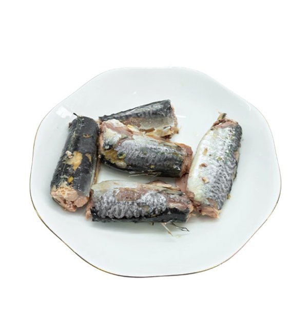 Canned sardine fish in brine