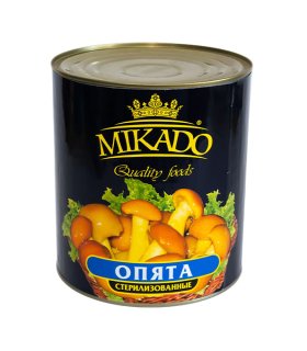 _0000_1-68 canned mushroom nameko in brine
