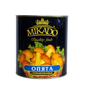 _0001_1-67 canned mushroom nameko in brine