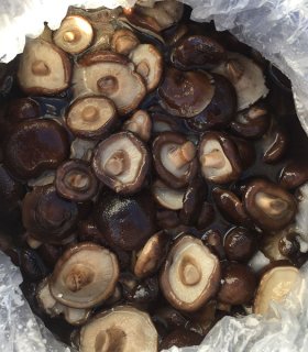 Brined shiitake whole in drum