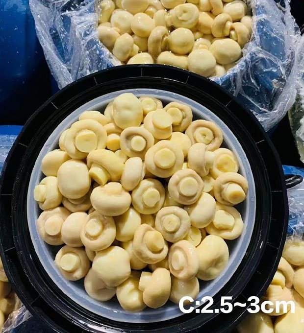 salted mushrooms for industrial use