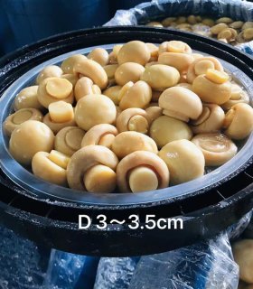 industrial mushroom ingredient