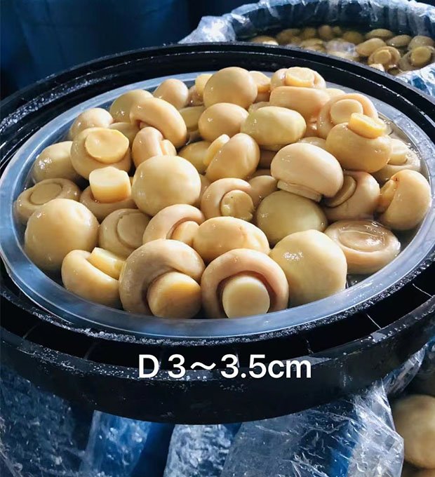 industrial mushroom ingredient