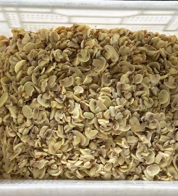 food processing mushroom ingredient