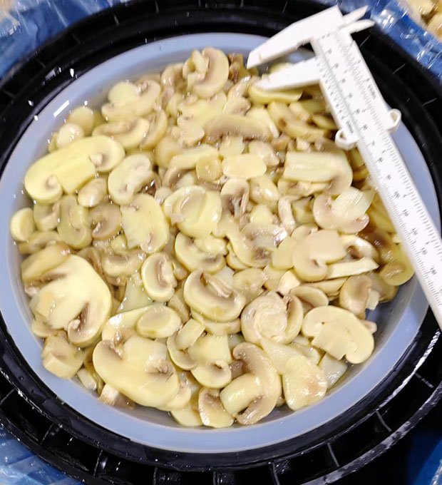 Preserved mushroom  pieces & stems in drum