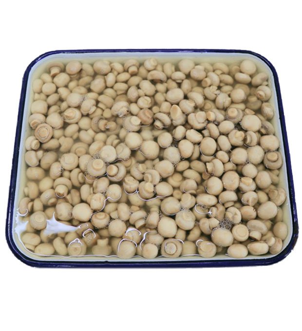 mini champignon mushrooms in brine