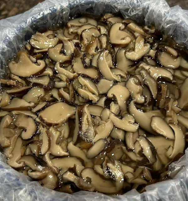 Brined shiitake slices  in drum