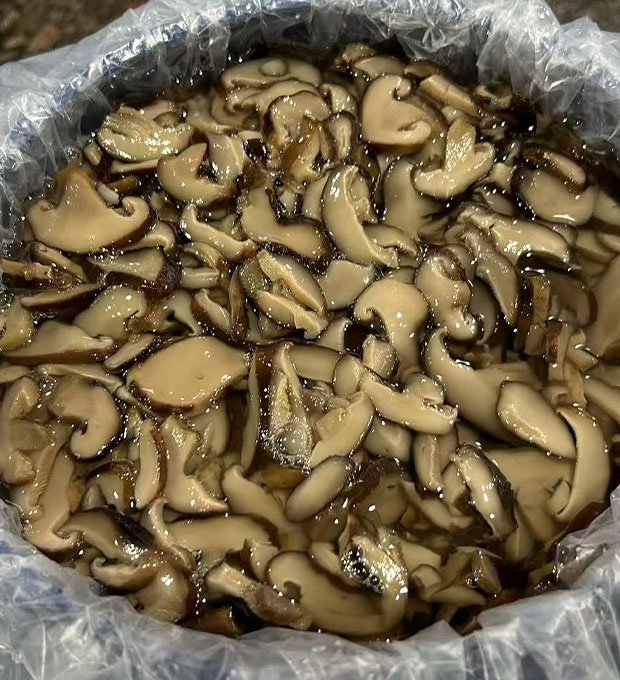 brined shiitake slices in industrial drum packaging