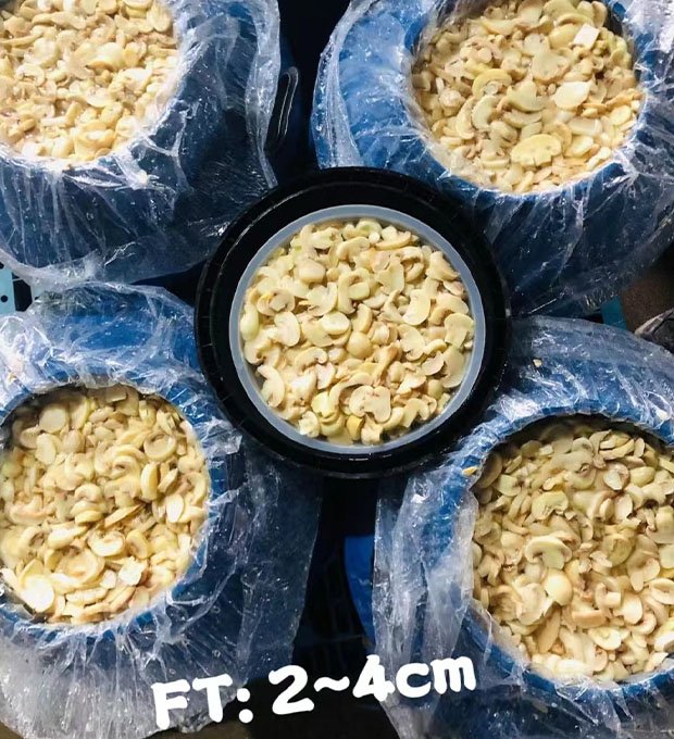 Brined mushroom  pieces & stems in drum