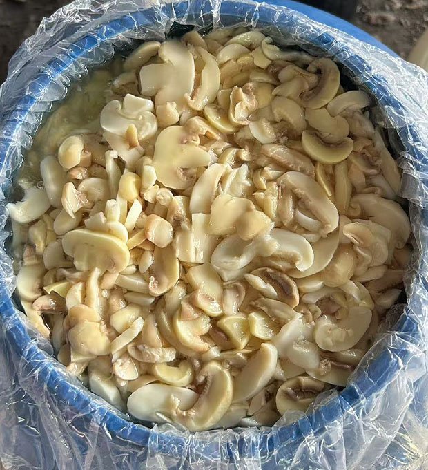 mushroom stems and caps mix