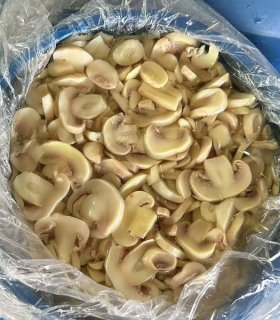 Preserved mushroom  slices in drum