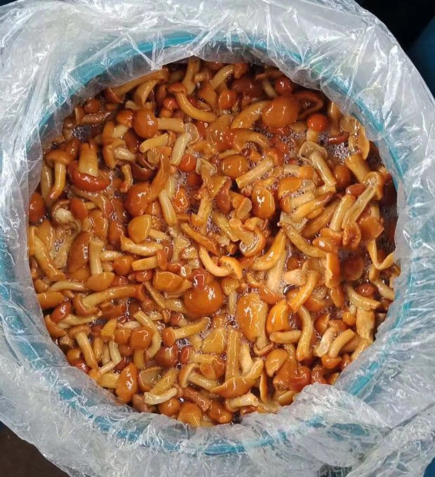  Brined nameko in drum
