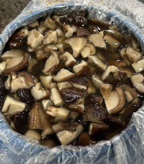 Brined shiitake slices  in drum