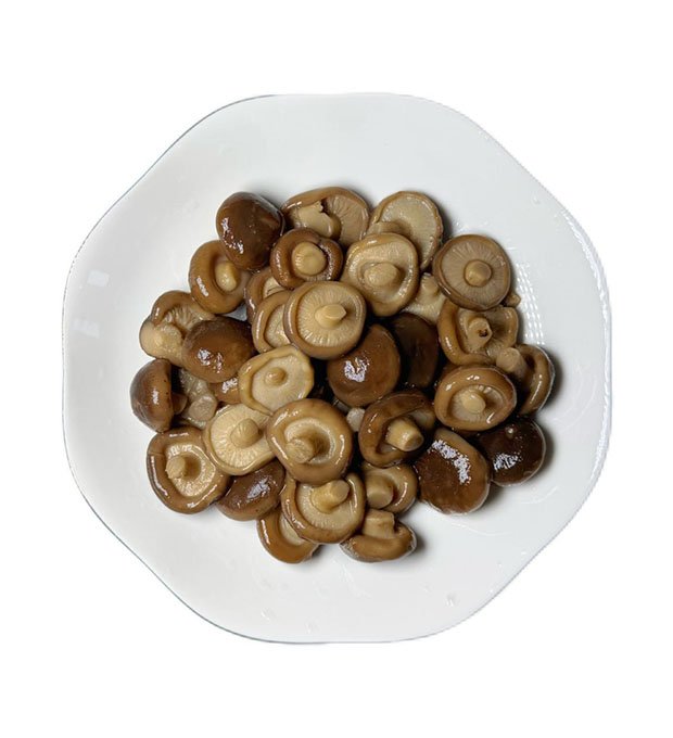 shiitake mushrooms preserved in salt water