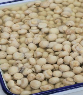 small whole mushrooms for pizza topping