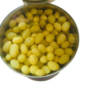 whole canned grapes in tin for export