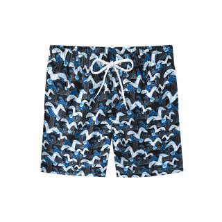 未标题-1_0004_CS8_3065