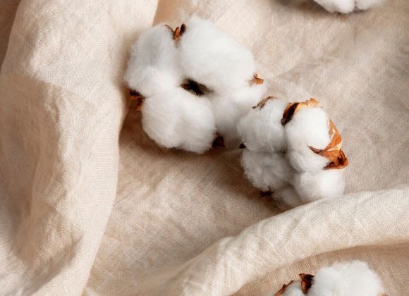 Cotton/Linen