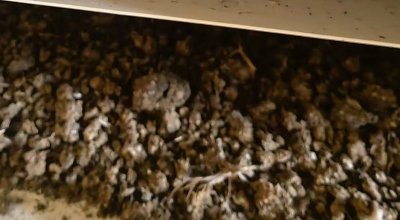 Manure air-drying equipment