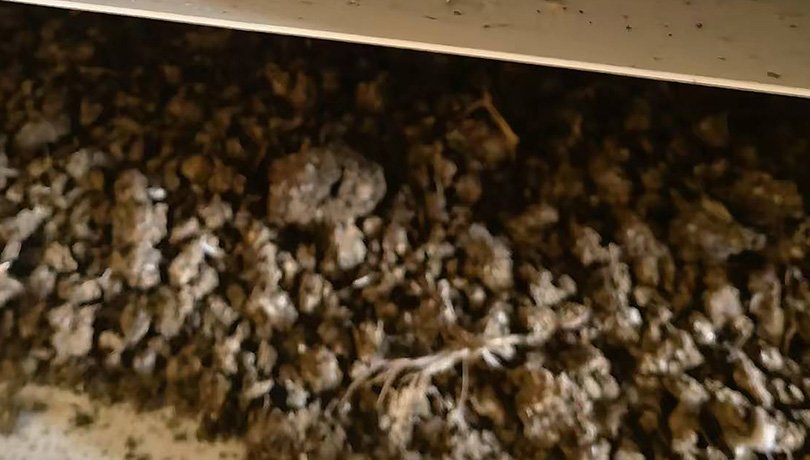 Manure air-drying equipment
