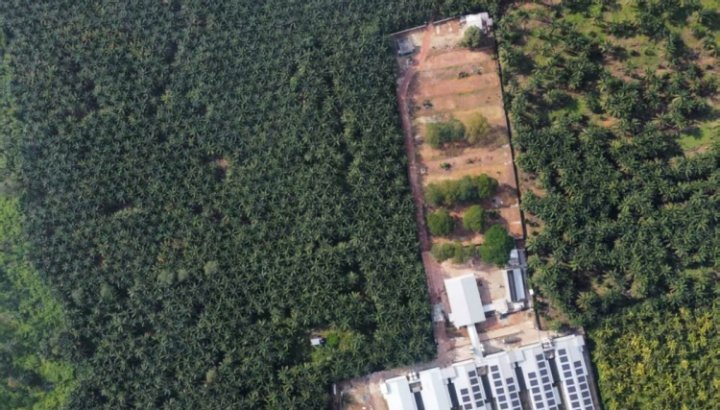 JinDi once again joins hands with a chicken farm with millions of chickens in Malaysia: the smart fermentation tank project was successfully implemented