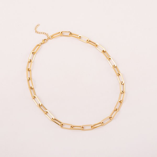 Stainless steel Necklace