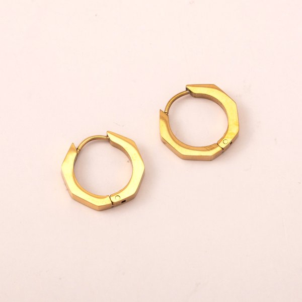 Stainless steel Earrings