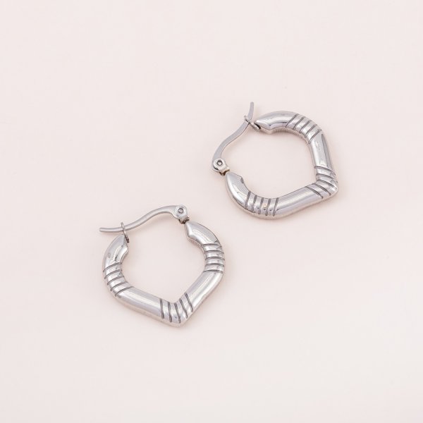 Stainless steel Earrings