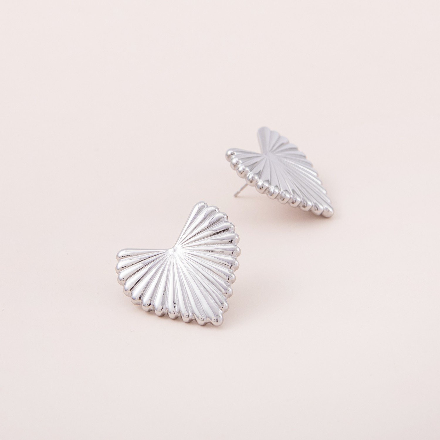 Stainless steel Earrings (17)