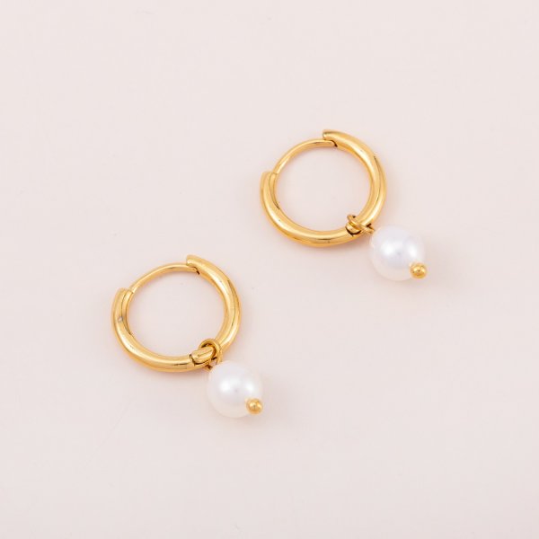 Stainless steel Earrings