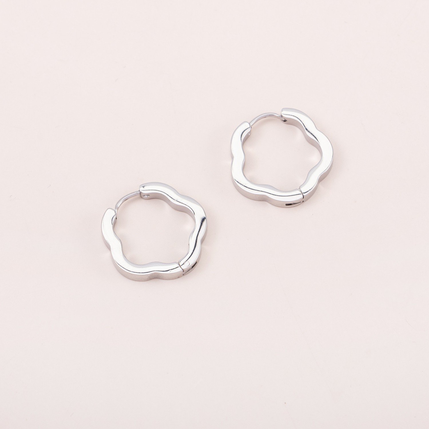 Stainless steel Earrings (24)