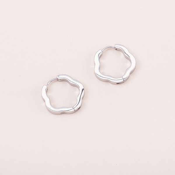 Stainless steel Earrings 