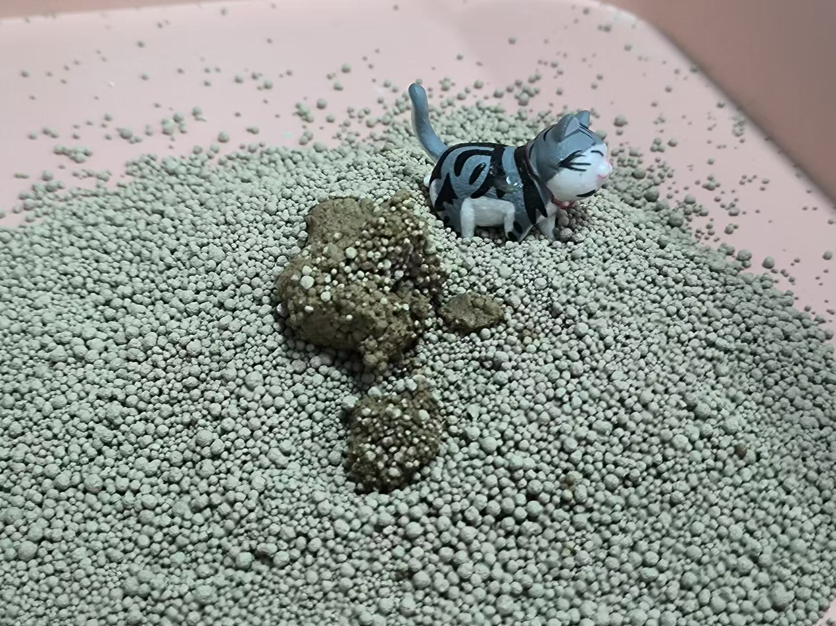 Bentonite cat litter