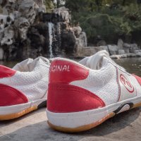 Canvas running shoes