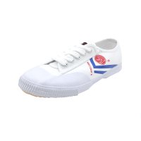 Kungfu shoes