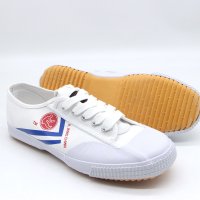 Kungfu shoes