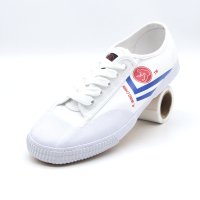 Kungfu shoes