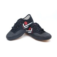 Wushu shoes