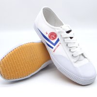 Kungfu shoes