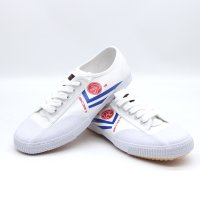 Kungfu shoes