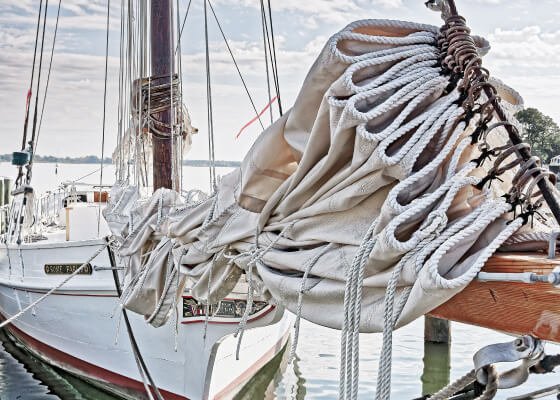 Understanding Safety Factors in Stainless Steel Shackle Selection: A Technical Guide