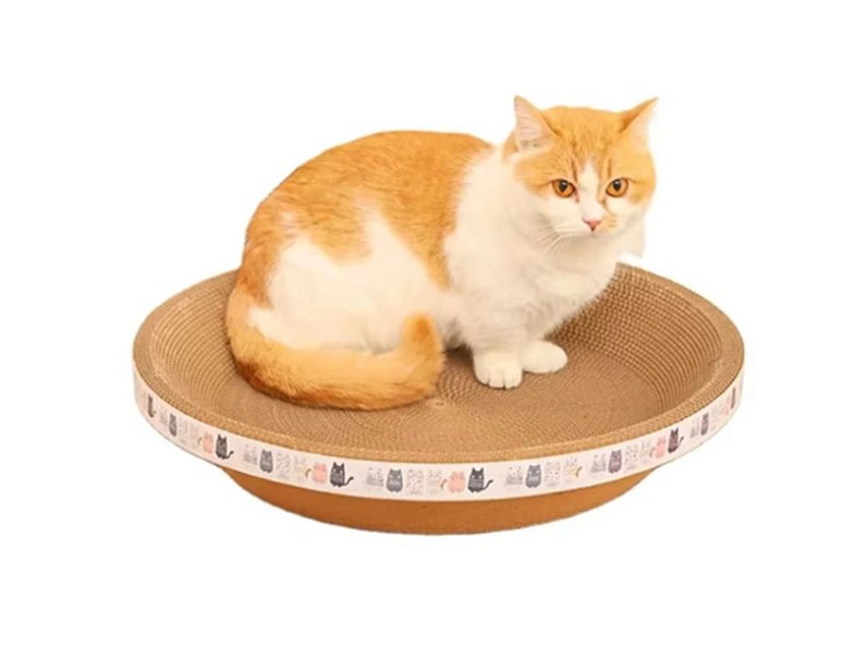 Wholesale Cat Scratching Board for Indoor Cat Toys Cat Scratcher Toys with Catnip