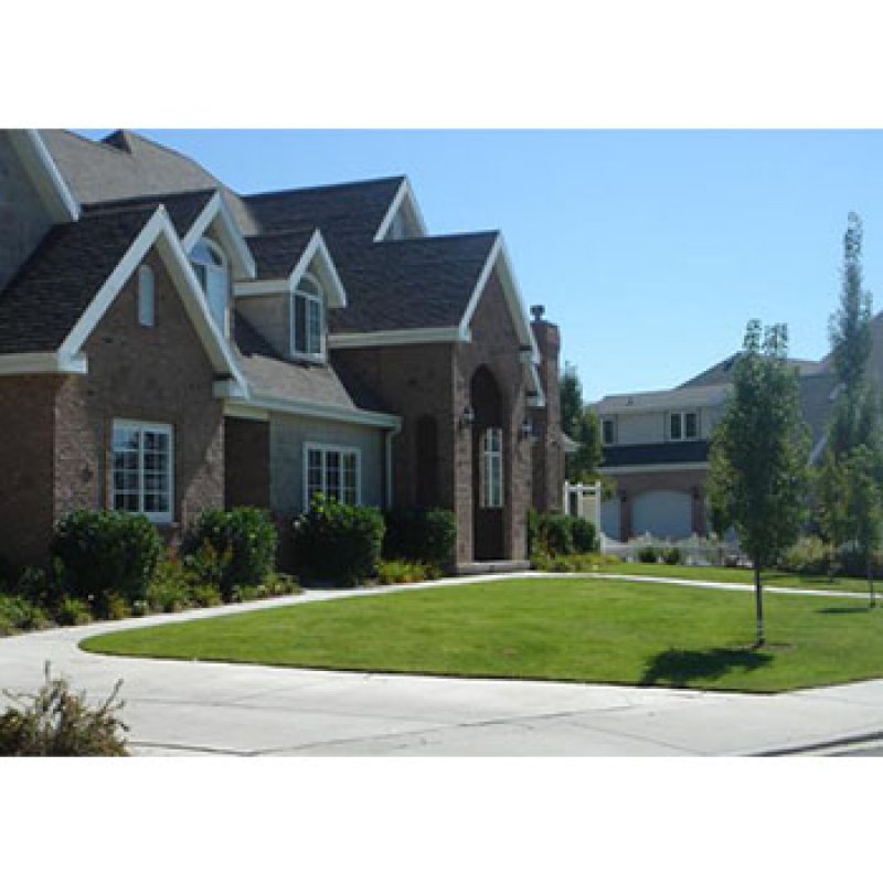 landscaping grass DECORATE-2