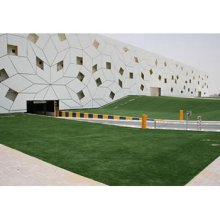 landscaping grass- DECORATE-1