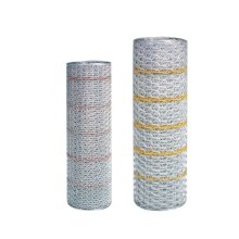 ONCAVE AND CONVEX HEXAGONAL NETS