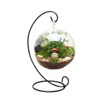 mini tiered clear bowl for floral or aquatic display