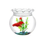 未标题-3_0005_6 Lace-mouthed Fish Bowl