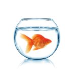 china supplier mini bowl with eco-friendly design