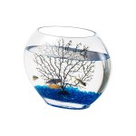compact transparent glass bowl used for DIY sand art and floating candles