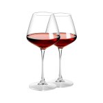 Premium Stem Wine Glass